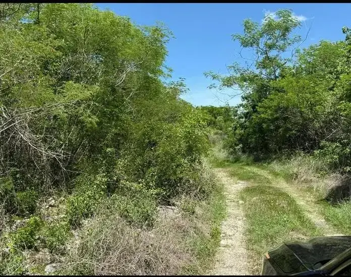 Terreno en venta en Komchen, Mérida — foto 1 de 3