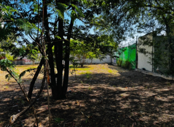 Terreno en venta en Altavista, Monterrey — foto 2 de 6