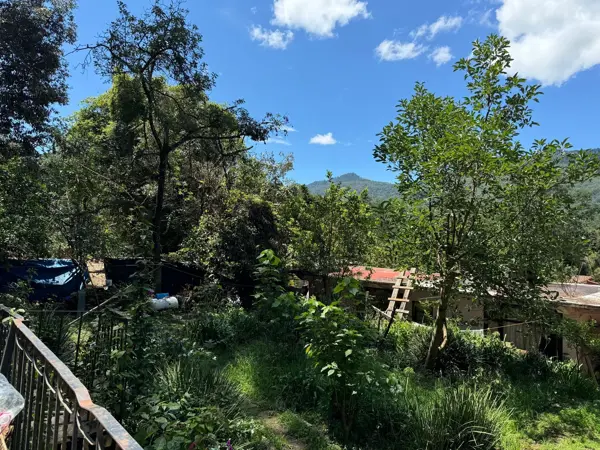 Terreno en venta en Avandaro, Valle de Bravo — foto 3 de 12