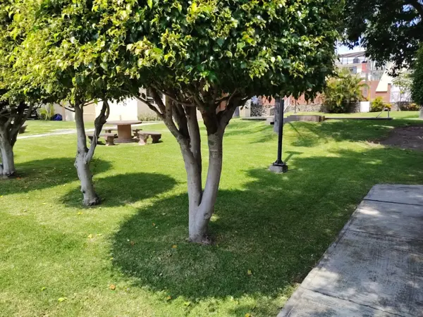 Departamento en renta en San Jerónimo, Cuernavaca — foto 2 de 14