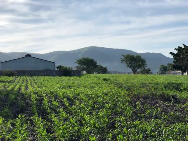 Terreno en venta en El Mirador, Cuautla — foto 3 de 6