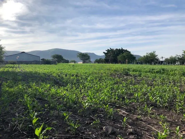 Terreno en venta en El Mirador, Cuautla — foto 2 de 6