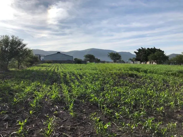 Terreno Industrial Venta Cuautla 3498m2