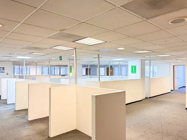Oficina Renta Polanco 570 m2 Piso 12 — foto 1 de 23