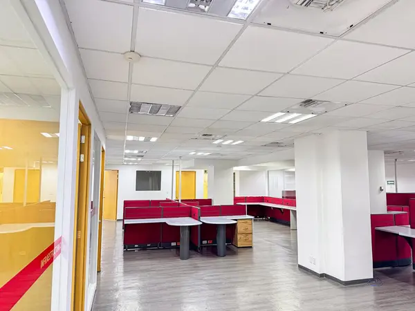 Oficina Renta Polanco 992 m2 Piso 6