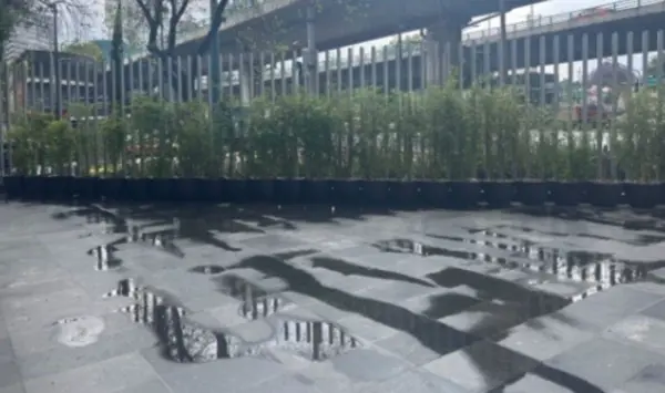 Local Renta A Pie de Calle en Corporativo Benito Juarez 587m2