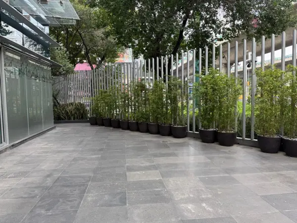 Local con Terraza Renta A Pie de Calle en Corporativo Benito Juarez 257m2
