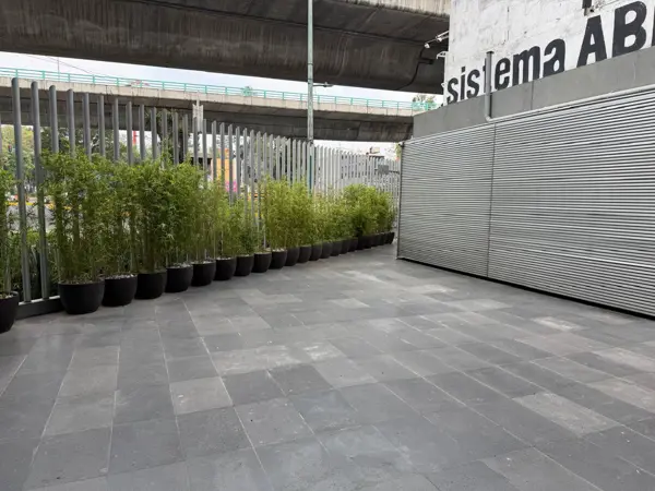 Local con Terraza Renta A Pie de Calle en Corporativo Benito Juarez 844m2