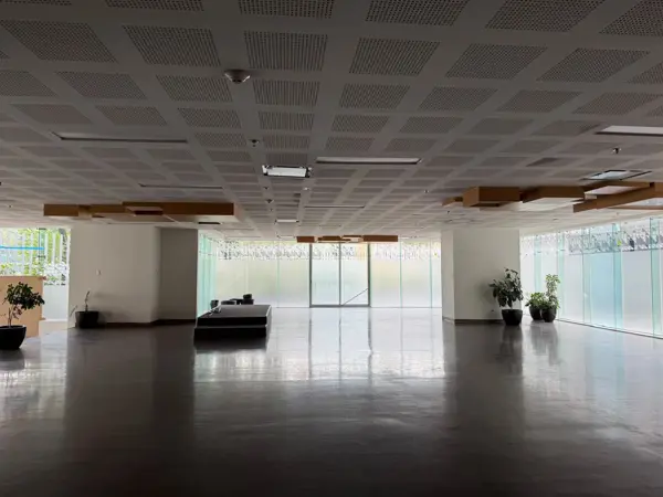 Local Renta A Pie de Calle en Corporativo Benito Juarez 573m2