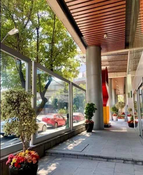 Local A Pie de Calle Renta CAD Polanco 484m2