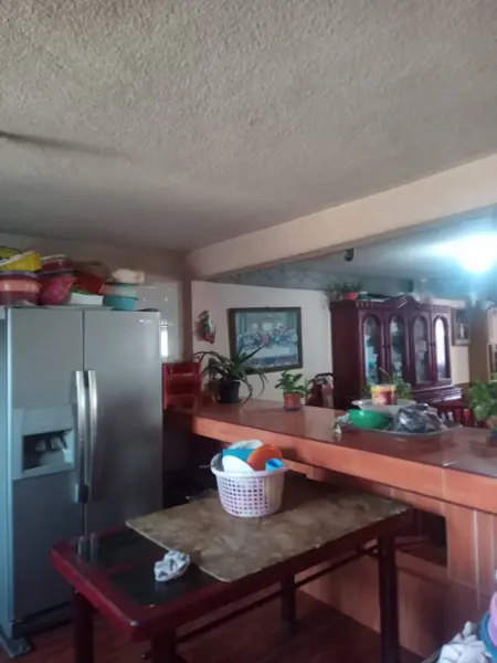 Casa en venta en San Isidro, Mexicaltzingo — foto 2 de 5