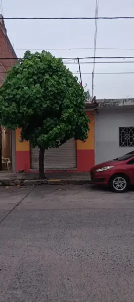 Local en renta en Colima Centro, Colima, Colima
