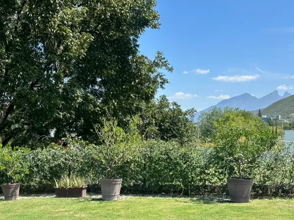 Terreno en venta en Carrizalejo, San Pedro Garza García — foto 2 de 2