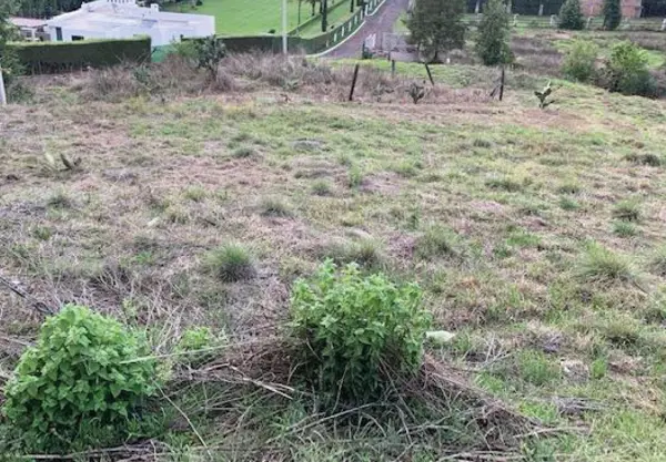 Terreno en venta en Río Bello (El Campamento), Morelia — foto 2 de 2