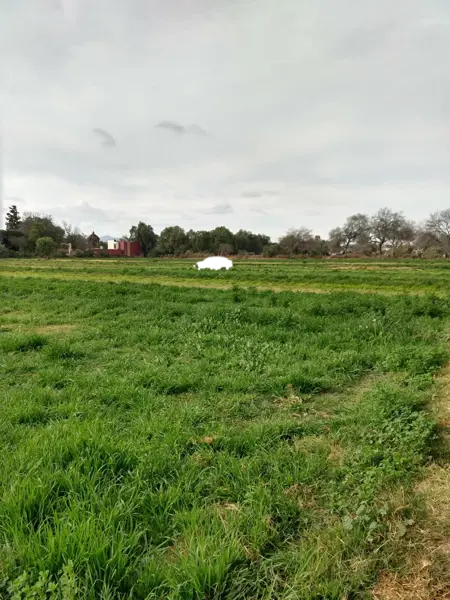 Terreno en venta en Soledad de Graciano Sanchez Centro, Soledad de Graciano Sánchez — foto 2 de 4