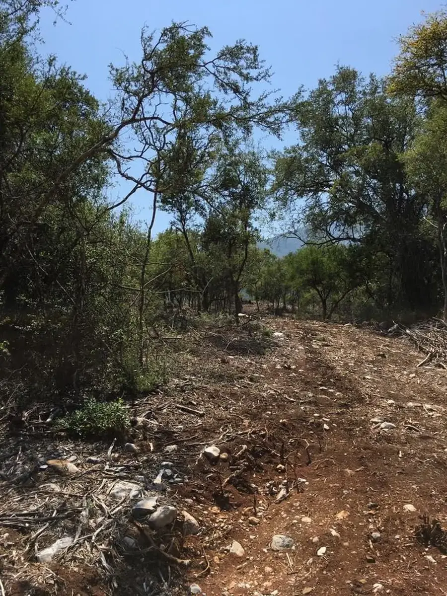 Terreno en Venta en El Barrial, Santiago, Nuevo León — foto 5