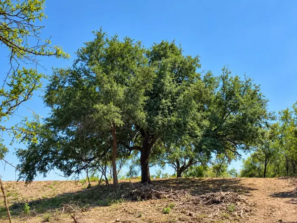 Terreno en venta en El Barrial, Santiago — foto 2 de 17
