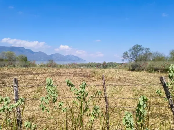 Terreno en venta en Atongo de Abajo, Cadereyta Jiménez — foto 2 de 12