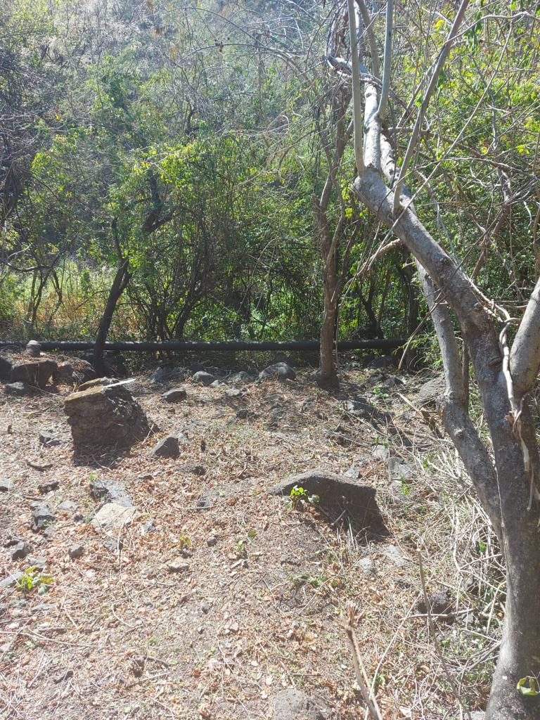 Terreno en venta en Real del Puente, Xochitepec — foto 1 de 8