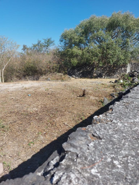 Terreno en venta en Real del Puente, Xochitepec — foto 2 de 8