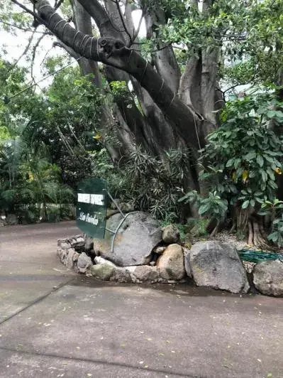 Departamento en renta en Jacarandas, Cuernavaca — foto 2 de 17