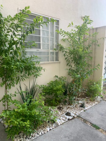 Departamento en venta en Ciudad del Sol, Querétaro — foto 2 de 15