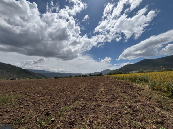 TERRENO DE PRODUCCIÓN DE VENTA EN EL TUNAL, ARTEAGA COAHUILA