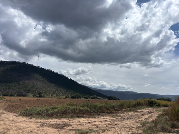 Terreno en venta en Jame, Arteaga — foto 3 de 6