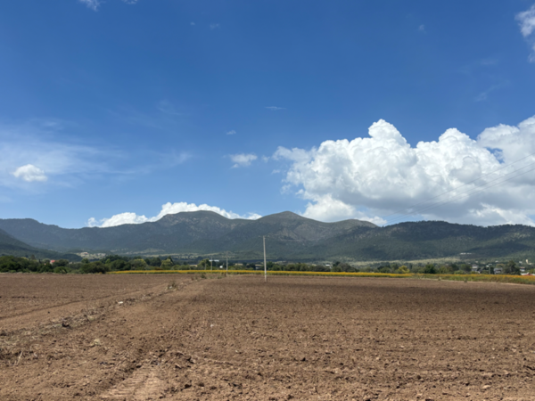 Terreno en venta en Jame, Arteaga — foto 2 de 6