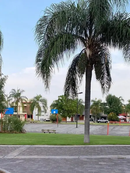 Casa en venta en Del Pilar Residencial, Tlajomulco de Zúñiga — foto 2 de 5