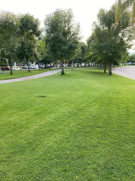 Casa en venta en Del Pilar Residencial, Tlajomulco de Zúñiga — foto 3 de 5