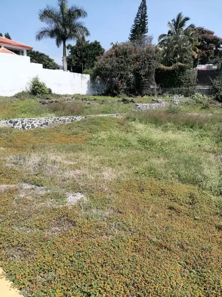 Terreno en venta en Amates de Oaxtepec, Yautepec — foto 3 de 5