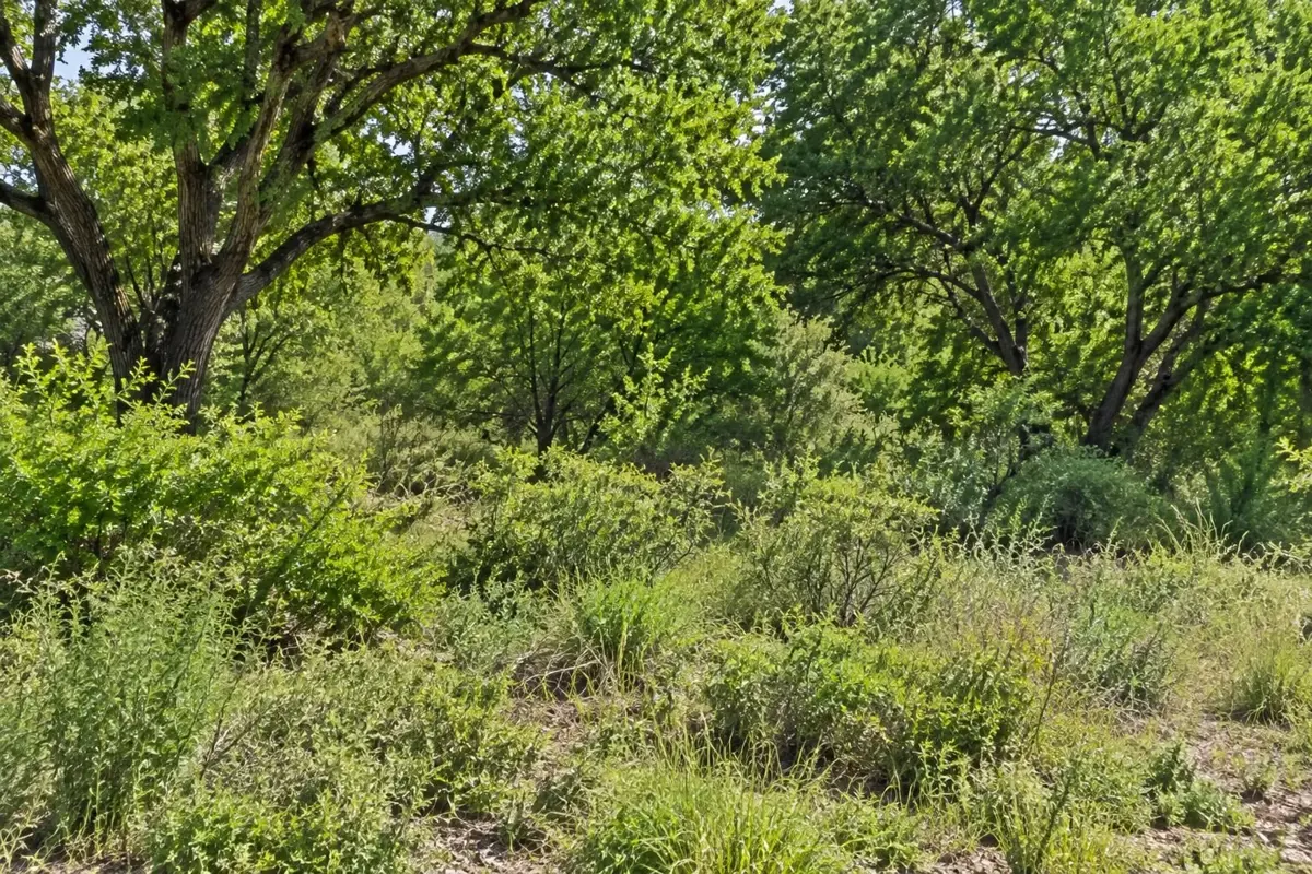 Terreno en Venta en Los Remates, Monterrey, Nuevo León — foto 6