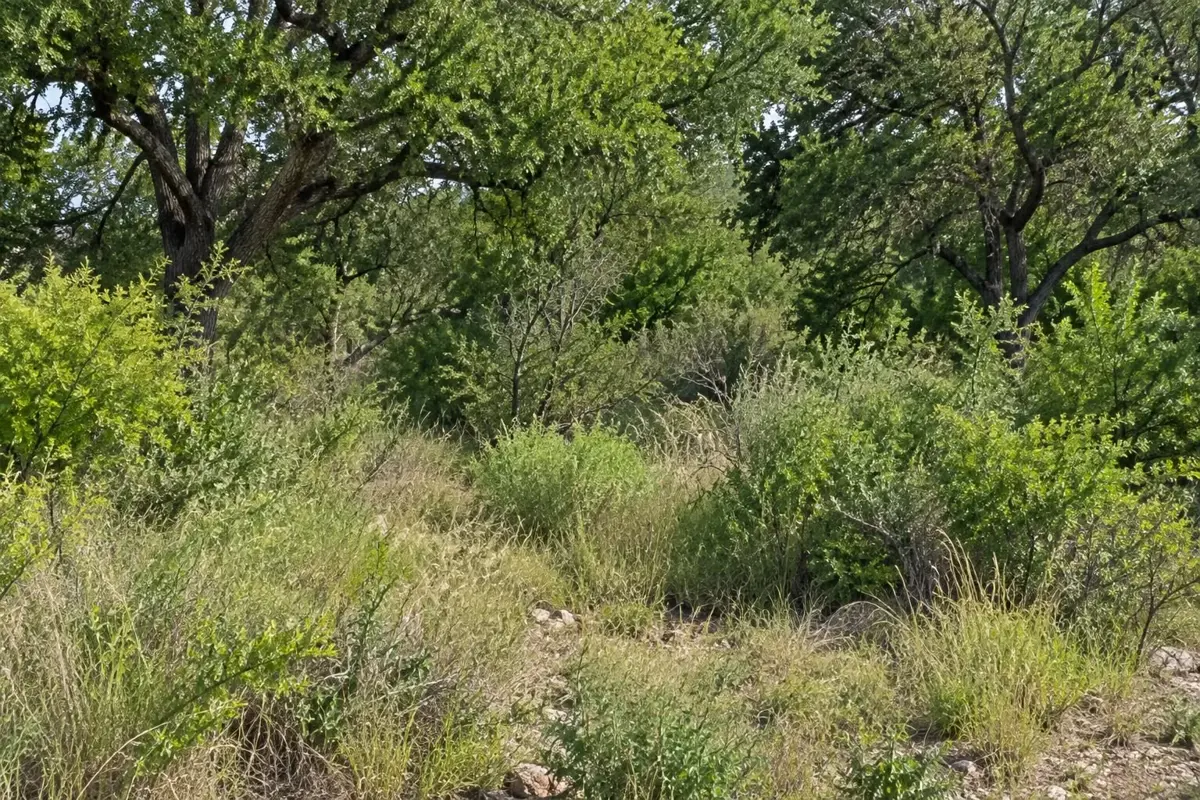 Terreno en Venta en Los Remates, Monterrey, Nuevo León — foto 5