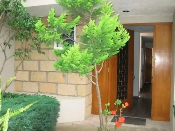 Casa en venta en Lomas de Memetla, Cuajimalpa de Morelos — foto 2 de 11