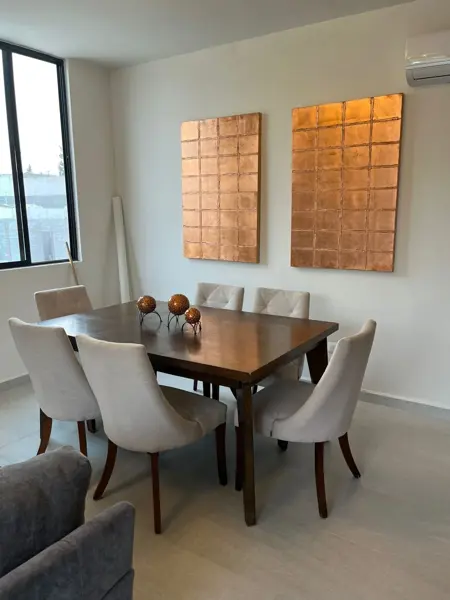 Departamento en renta en Aeropuerto Ramos Arizpe (Plan de Guadalupe), Ramos Arizpe — foto 3 de 8