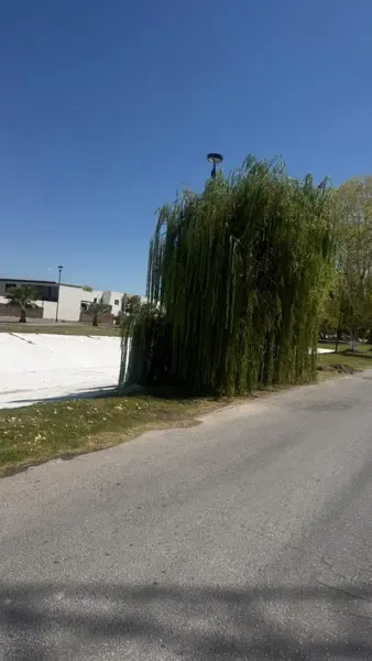 Terreno en venta en Las Trojes, Torreón — foto 3 de 4