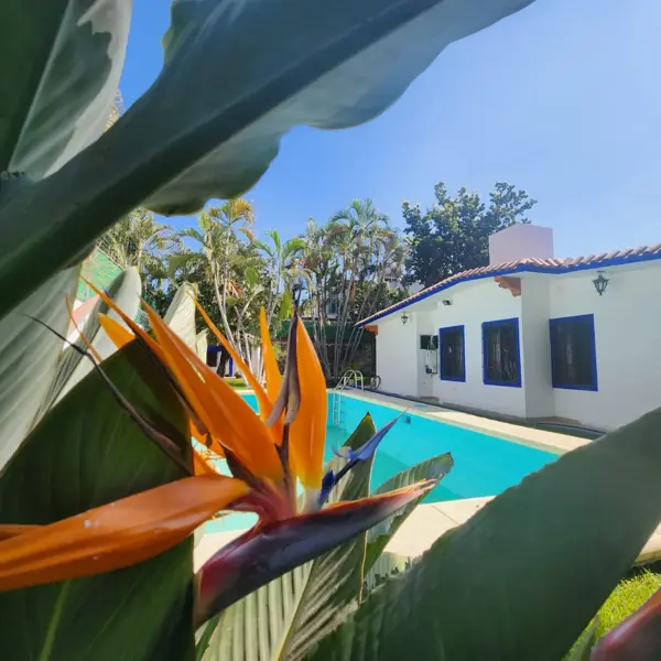 Casa en venta en Chiconcuac, Xochitepec — foto 2 de 22