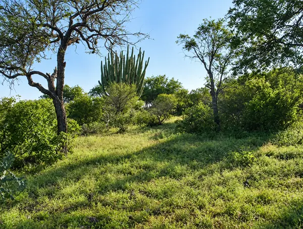 Finca-Rancho en venta en Hidalgo Centro, Tecozautla — foto 2 de 20