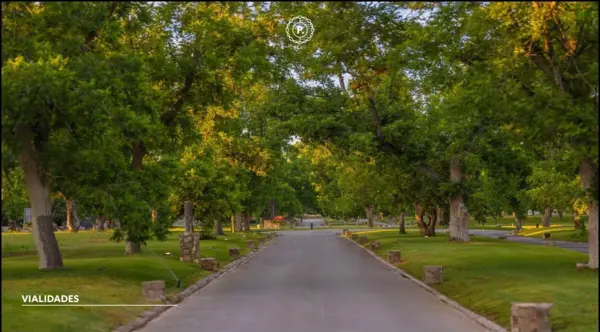 Terreno en venta en Parras de la Fuente Centro, Parras — foto 3 de 8