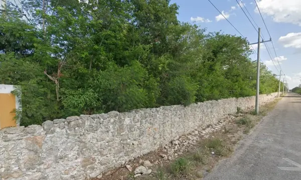 TERRENO EN VENTA A PARTIR DE 1 HA HASTA 12 HAS EN BACA YUCATÁN