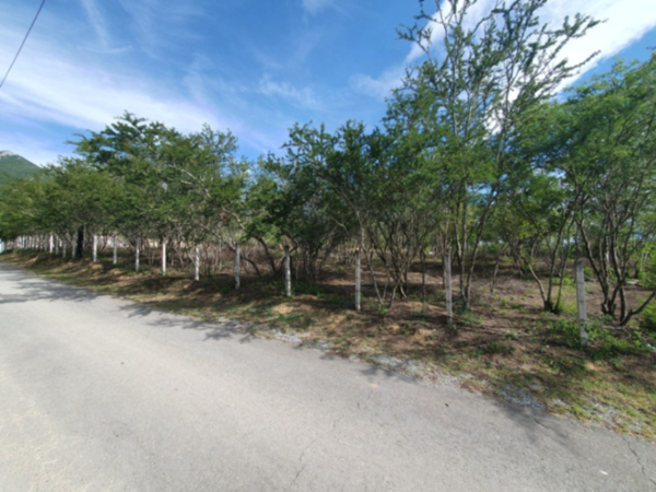 En VENTA Terreno en Los Rodriguez, habitacional-campestre de 3,400 m2,