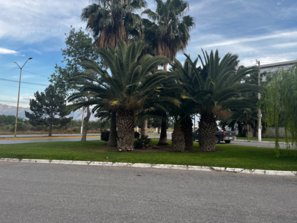 Terreno en venta en San José Residencial, Saltillo — foto 2 de 5