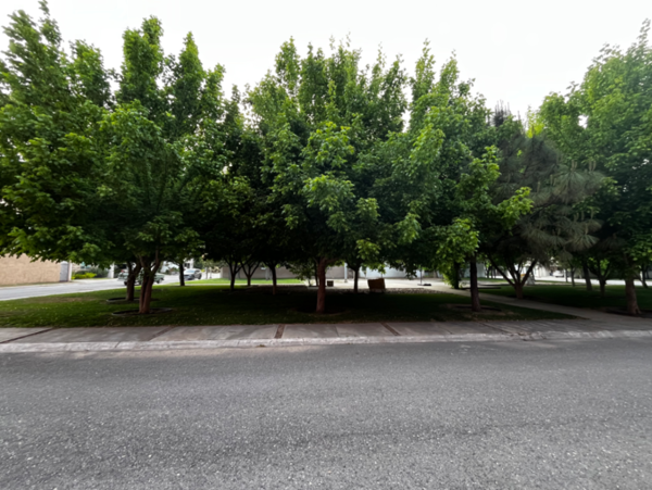 Terreno en venta en San José Residencial, Saltillo — foto 3 de 5