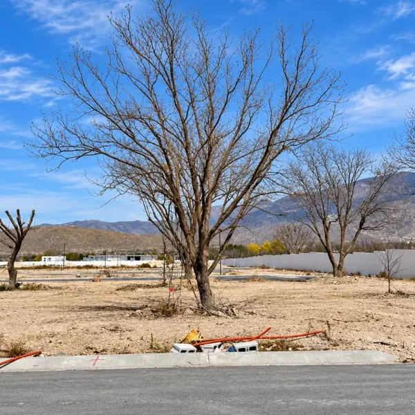 Terreno en venta en Privada Alameda, Arteaga — foto 3 de 11