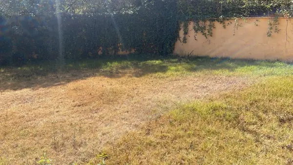 Casa en venta en Lomas de las Palmas, Huixquilucan — foto 2 de 21