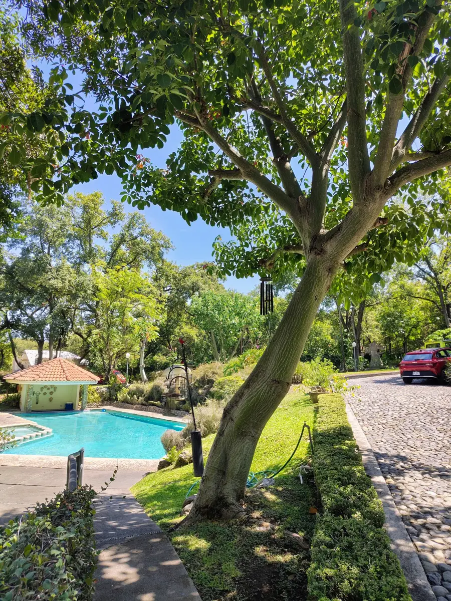 Quinta en venta en San Francisco, Santiago — foto 1 de 13