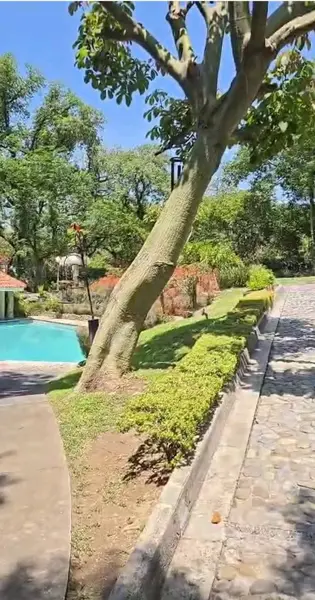 Casa Quinta Exclusiva | Minimalismo, Naturaleza y Sofisticación |San Francisco, Santiago, N.L.