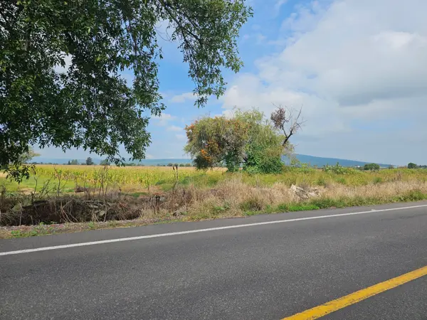 Terreno en venta en Palo Blanco, Álvaro Obregón — foto 3 de 7