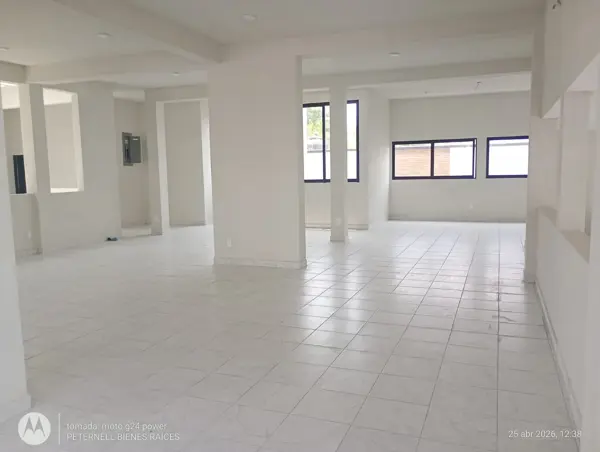 Renta de piso completo para oficinas